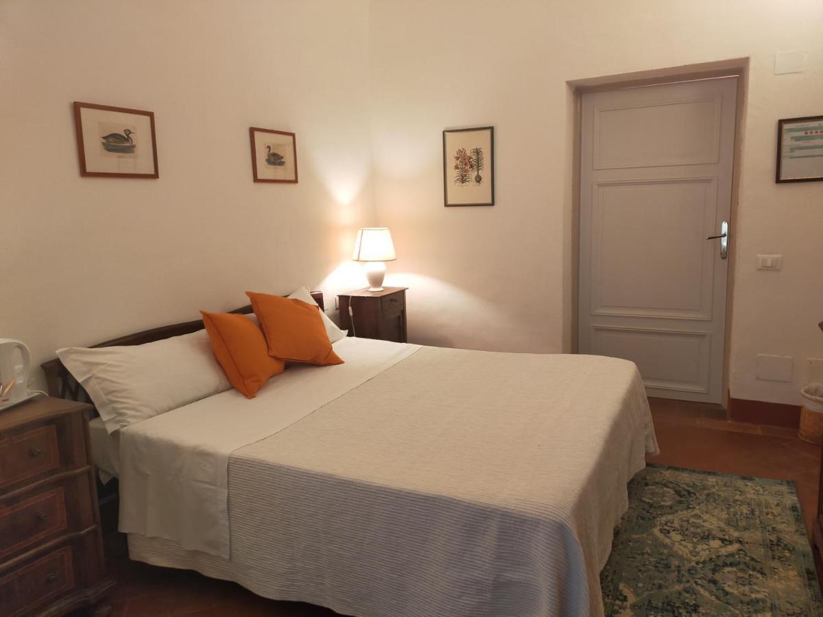 Tenuta Mocajo Guardistallo Ngoại thất bức ảnh
